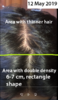 Capture - Copy.PNG