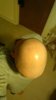 IMG_20190122_233133660.jpg