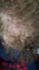 Screenshot_20190618-183832.png
