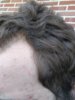 20180501_140626.jpg