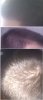 hair.jpg