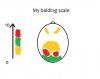 balding scale.jpg balding scale.jpg