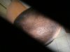 DSC07389.jpg