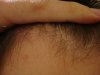 DSC07552.jpg