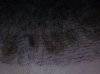 DSC00835.jpg