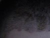 DSC00836.jpg