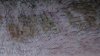 DSC00843.jpg