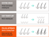 Follica-Infographics-051519-v6_ModalityComparison.png