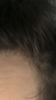 IMG_1192.PNG