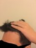 773BD285-540D-4DDA-8613-A42AF6307415.jpeg