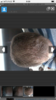 2DC46A68-5856-4E94-88D2-0189B0907480.png