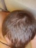 20190824_003724.jpg