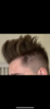 4D1720C5-BE26-4512-919E-A48E2CBF08D5.png