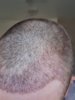 Point Blur_Sep132019_100957.jpg