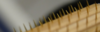 needles2.PNG