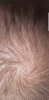 Screenshot_20190924-120001_Gallery.jpg