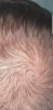 Screenshot_20190924-115804_Gallery.jpg