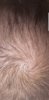 Screenshot_20191001-124400_Gallery.jpg