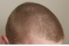 GourmetStyleWellnessupdate1.jpg
