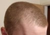 GourmetStyleWellnessupdate1new.jpg