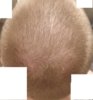 GourmetStyleWellnessupdate2.jpg