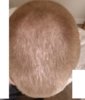 GourmetStyleWellnessupdate2new.jpg