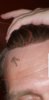 Screenshot_20191005-165426_QuickPic.jpg