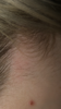 E44FCAD2-2C14-4E00-A28E-4C3F8207B2C8.png