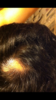 579DE2B8-4348-4913-BFF7-E09CAD5623AC.png