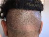 hair 14.jpg