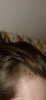 A8A97DB3-DCF1-417A-97BC-789C16CD970F.png