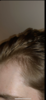 4072A7D7-B864-4992-A200-BC9CC3F60D1F.png