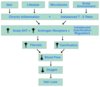 Ultimate-Hair-Loss-Flowchart-1024x886.jpg