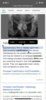 465EF425-848E-4033-AC54-278E6BA71B62.png