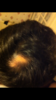 42DF7005-C3D8-47B6-BE9A-57929FDF084F.png