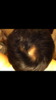 32C2D106-DE49-4392-8E2A-29C245FBCF3B.png