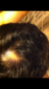 48B60B6A-5881-4DB9-A626-C11901012404.png