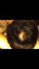 80B18F36-4E25-4C8A-AB81-EB8714FE69D7.png