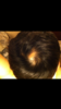 E40134BF-B6A4-4B94-A388-4C6B6B99998C.png