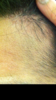 3BD56995-C630-44F1-8A44-F92A19DA5D0B.png