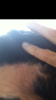 1EA88678-2BC3-483E-BDAA-FCE0A84CEF6A.png