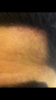 9008C346-2BA7-4D4C-A933-563B5EF96B6B.png