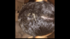 5E10FDBF-AA9A-4E54-861D-C94BB3DE3BA9.png