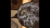 F3D6DBA2-AF89-40AD-AC7A-763D234F7F71.png