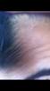 CA3E865A-6252-4491-BB3A-AA9272D0F025.png