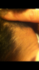 417A0718-2D7D-485D-A678-B5C5E412C193.png