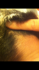 ACD8FD29-E4C4-4E73-A9BC-57F0ADEA9EB6.png