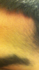 1DDF6899-FB9C-43DE-93F7-D7563EC98E80.png