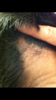BF0974F6-170A-4112-9ABC-3ECAF39E15E9.png