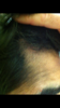 C09A7625-44F7-448F-B754-138E3A040729.png